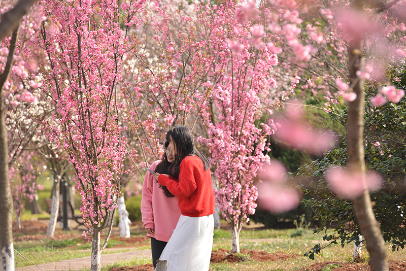 这个春天在曲师续写梦想