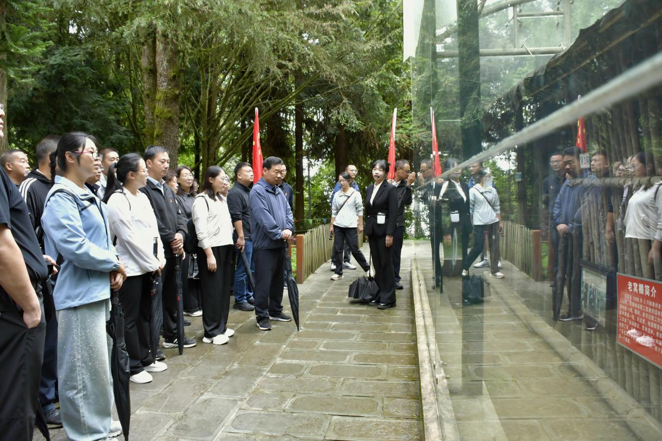 图片7.jpg 图片7.jpg